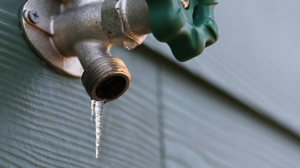 Best Shower Repair Services  in Lemoore Station, CA